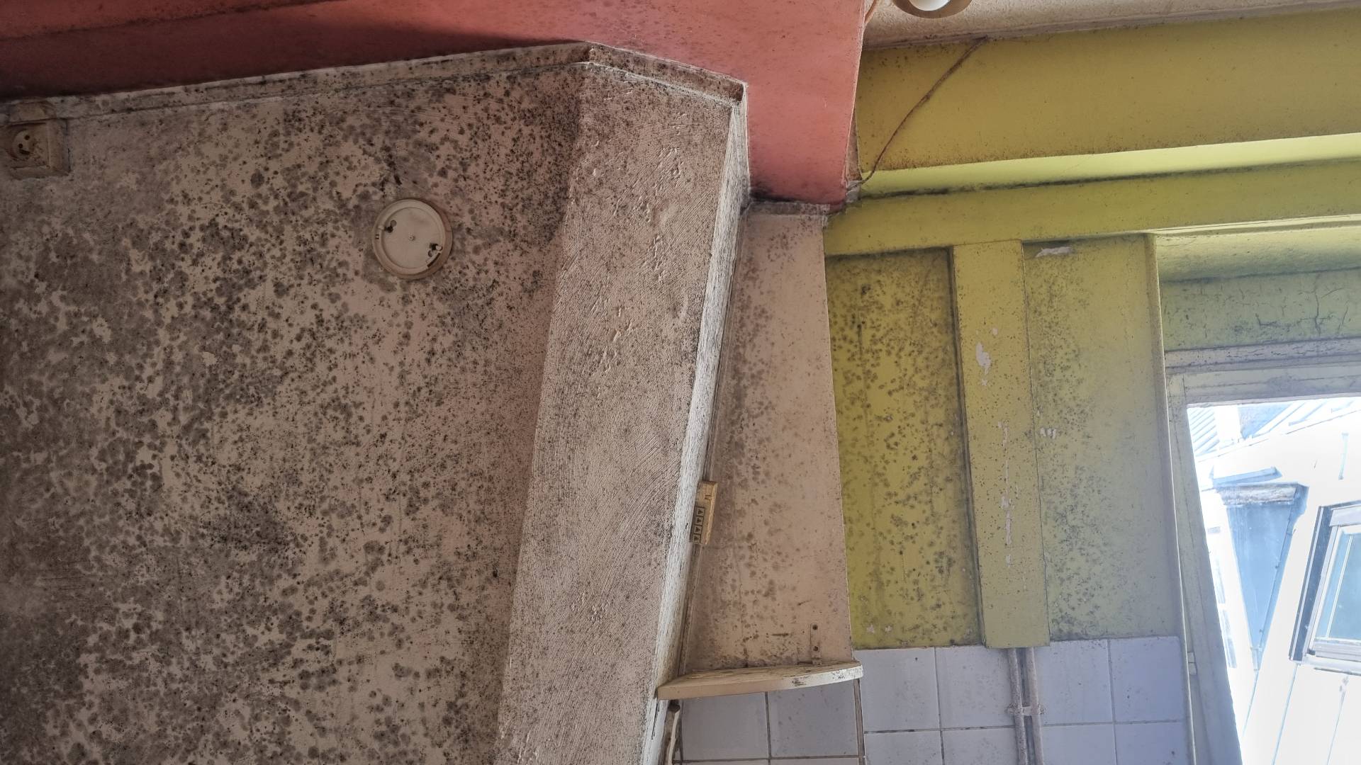 Renovation Studio Paris