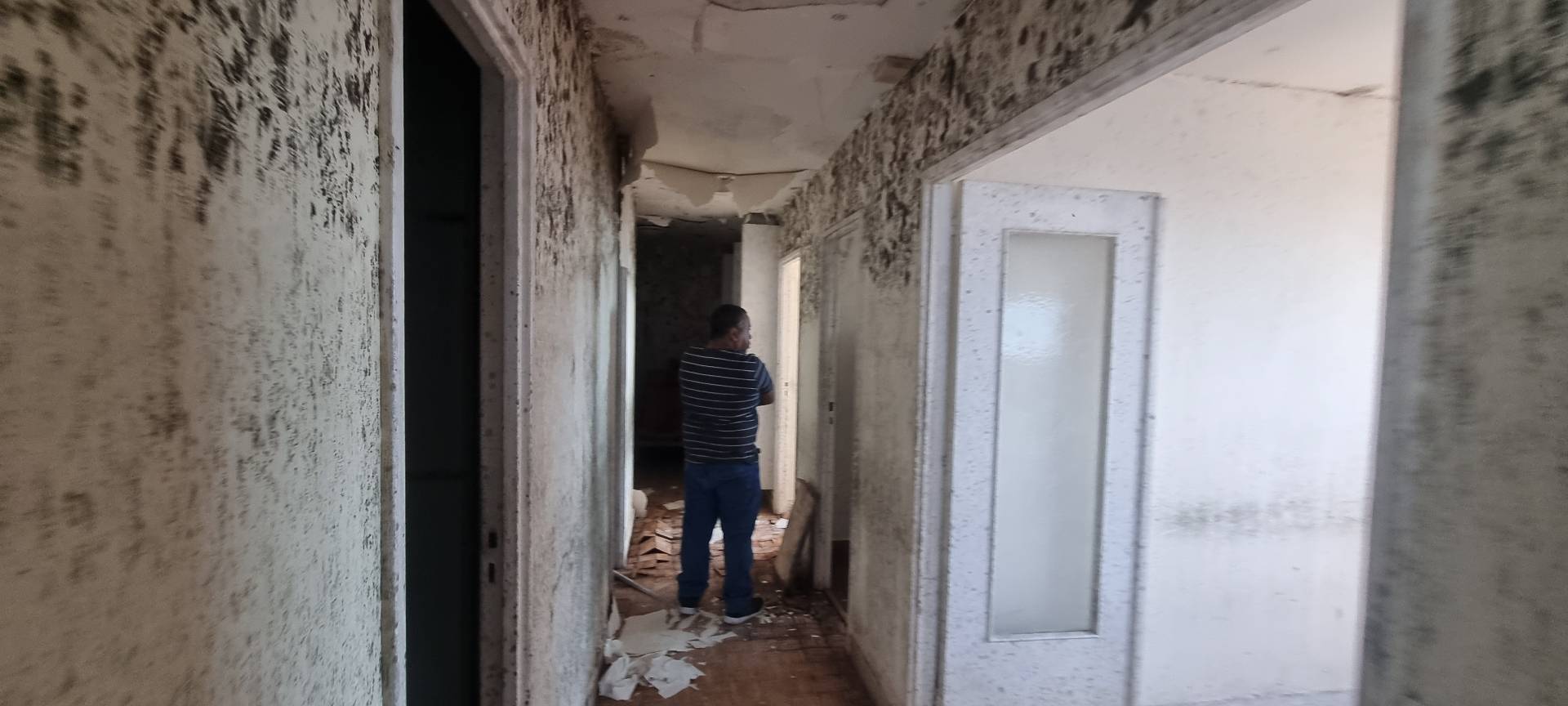 Rénovation appartement