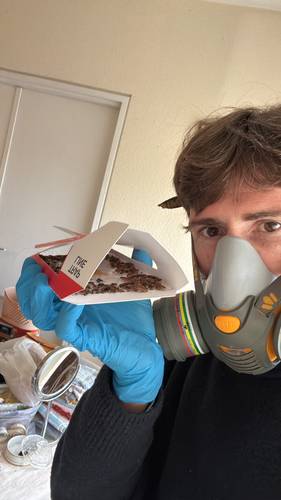 Dératisation et gestion anti-nuisibles 