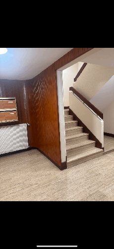 Nettoyage professionnel 