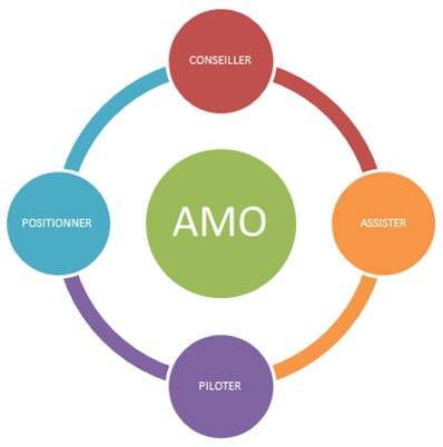 AMO mission partielle (analyse + suivi vote)