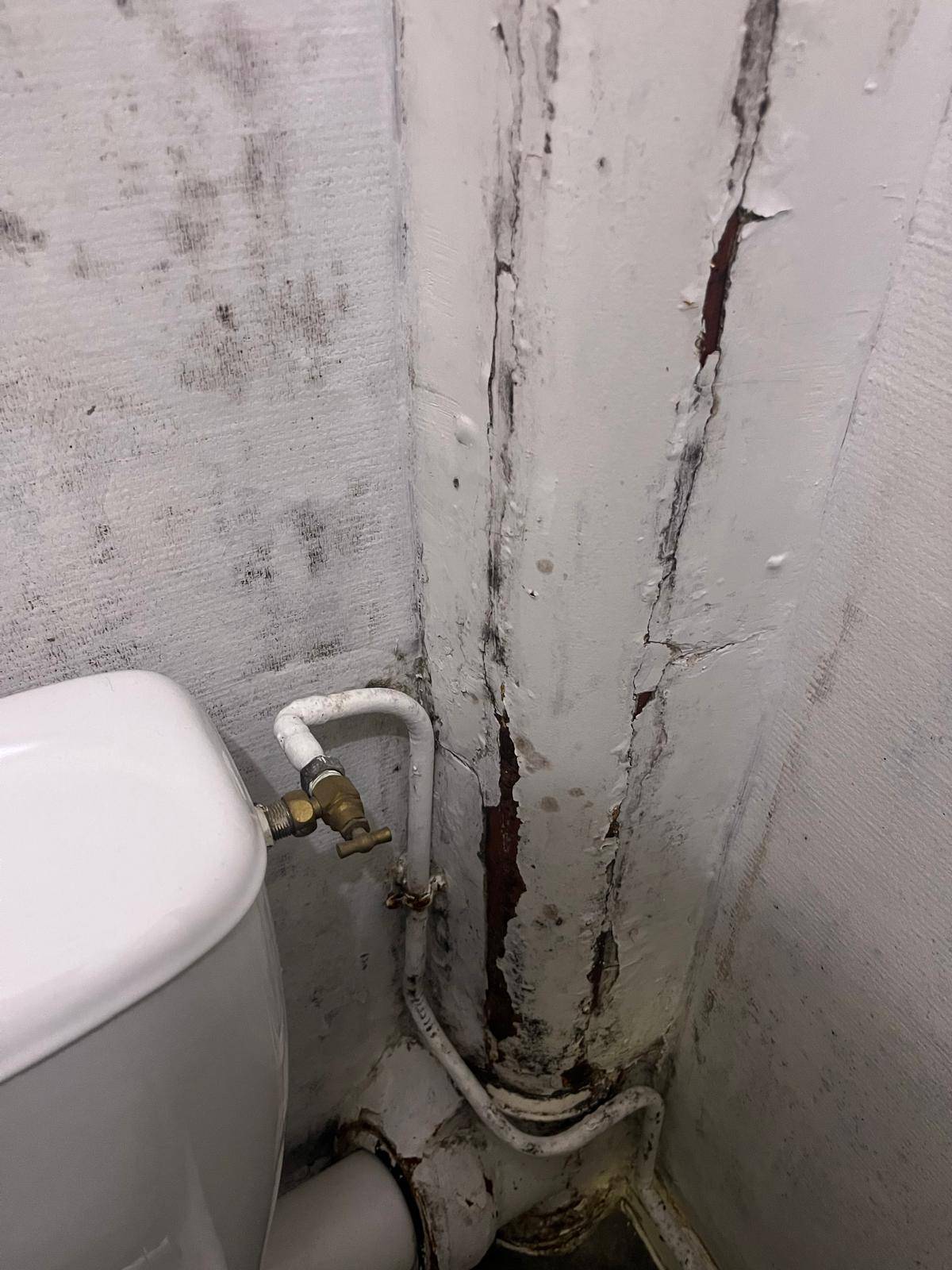 isolation et réfection partielle d'une salle d'eau