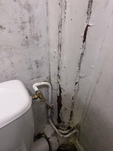 isolation et réfection partielle d'une salle d'eau