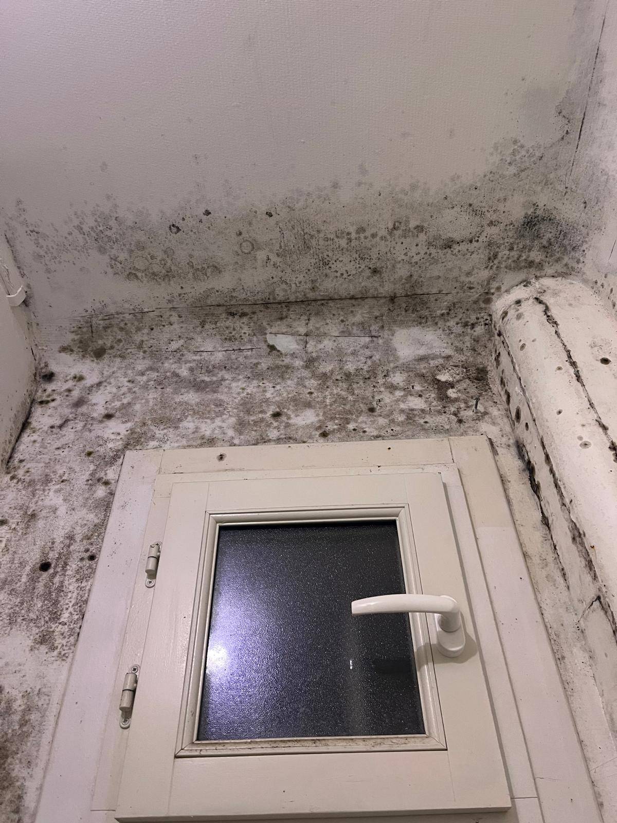 isolation et réfection partielle d'une salle d'eau