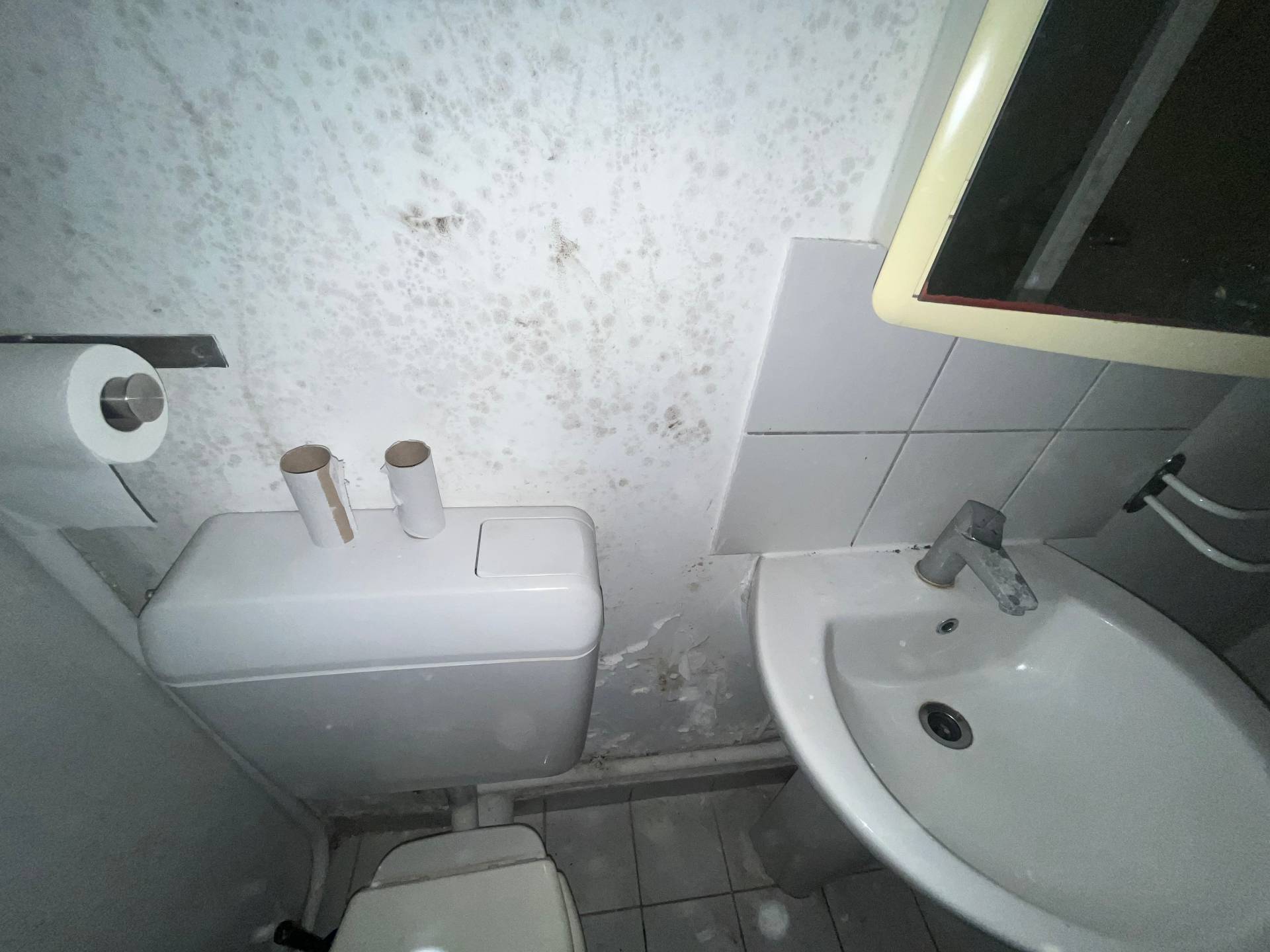 Besoin d'un artisan pour remise en état suite dégât des eaux