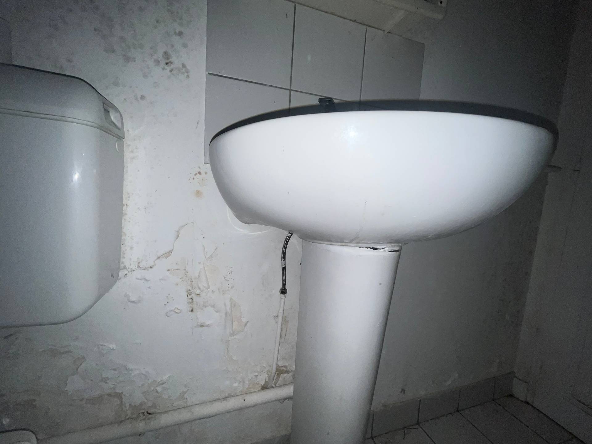 Besoin d'un artisan pour remise en état suite dégât des eaux