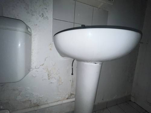 Besoin d'un artisan pour remise en état suite dégât des eaux