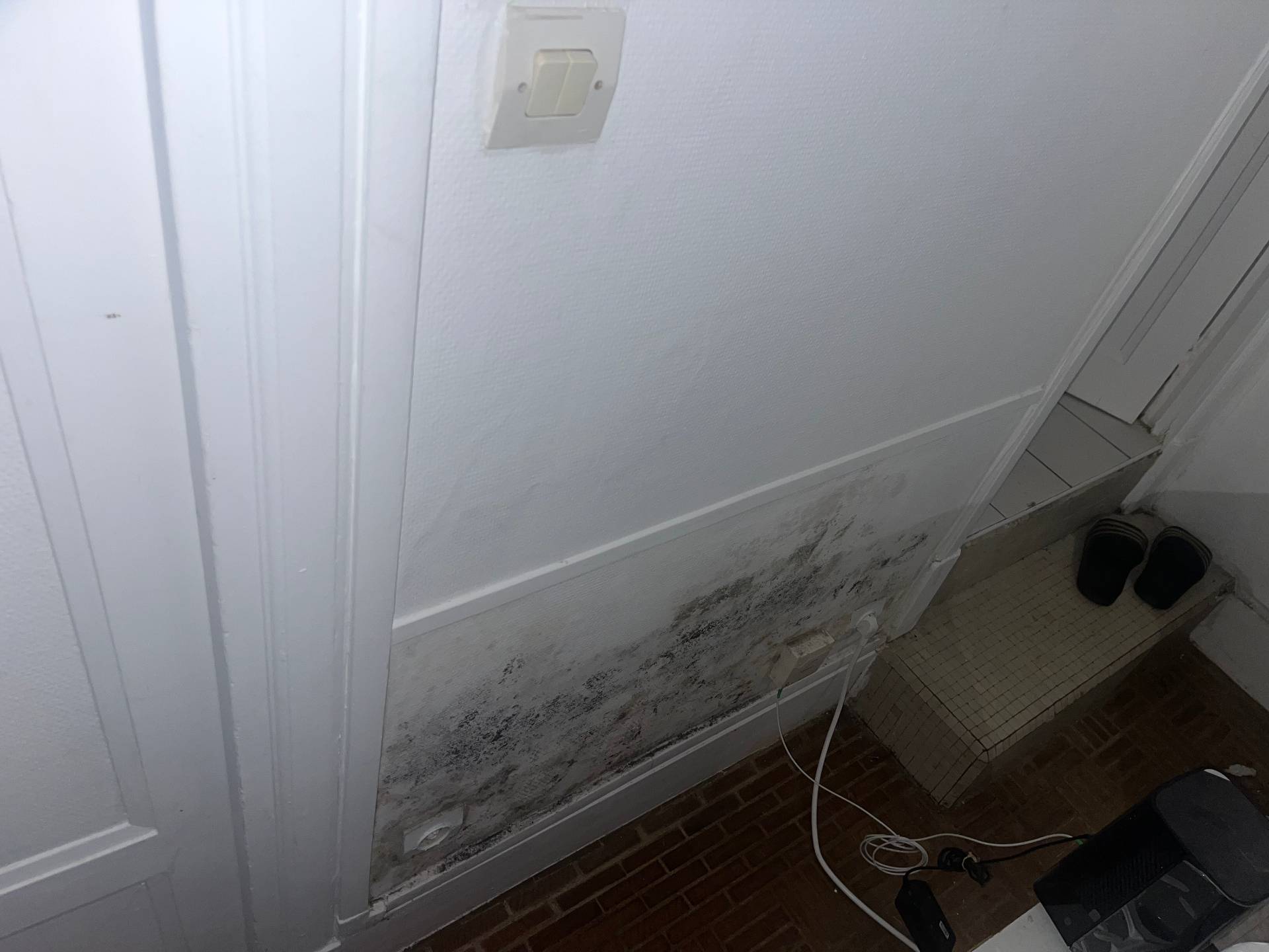 Besoin d'un artisan pour remise en état suite dégât des eaux