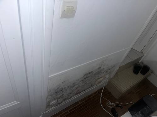 Besoin d'un artisan pour remise en état suite dégât des eaux