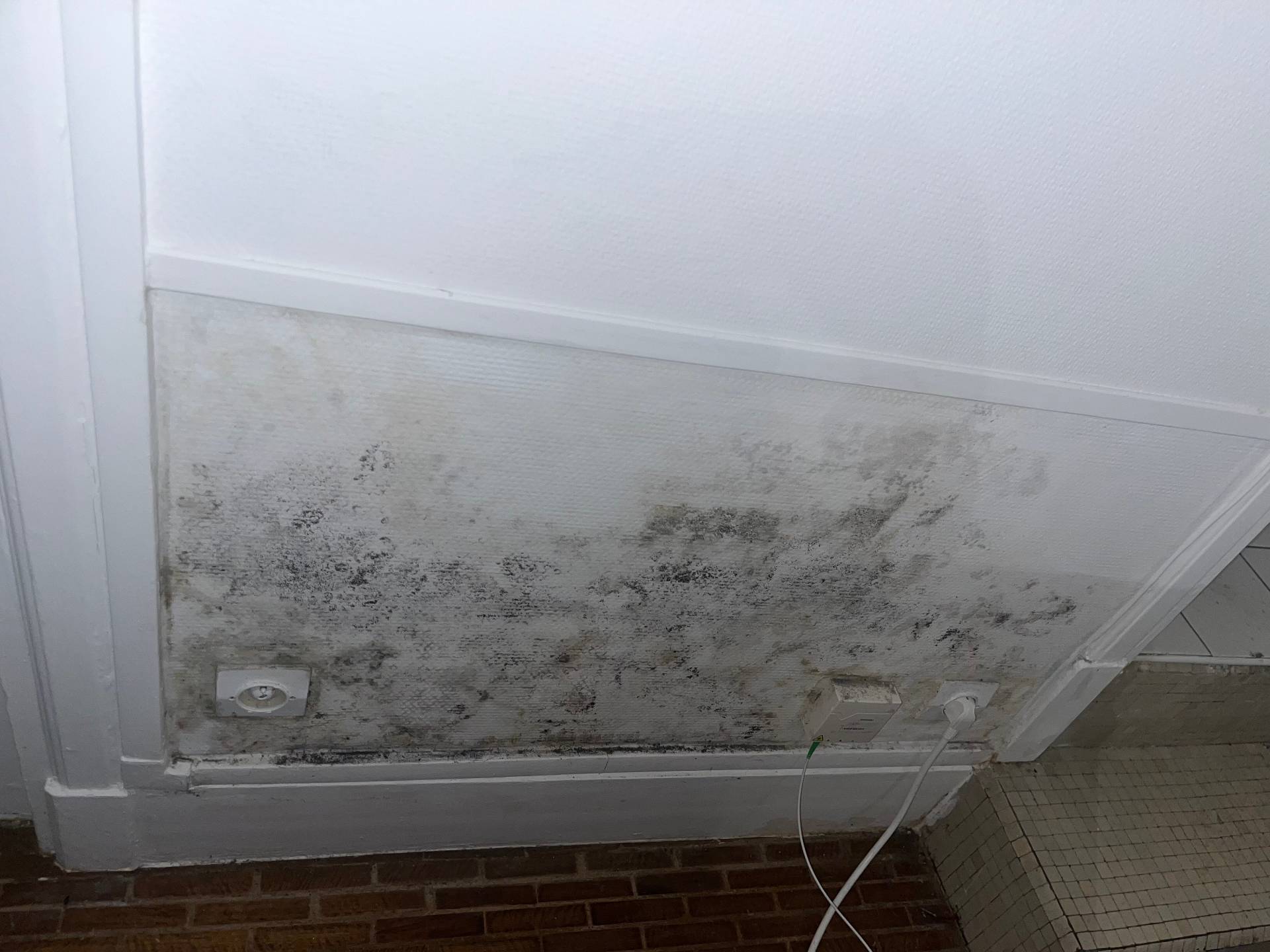 Besoin d'un artisan pour remise en état suite dégât des eaux