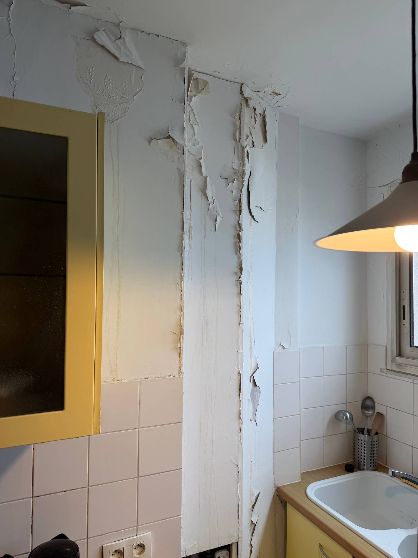 Urgent ! besoin d'un homme à tout faire pour remise en état d'un appartement.