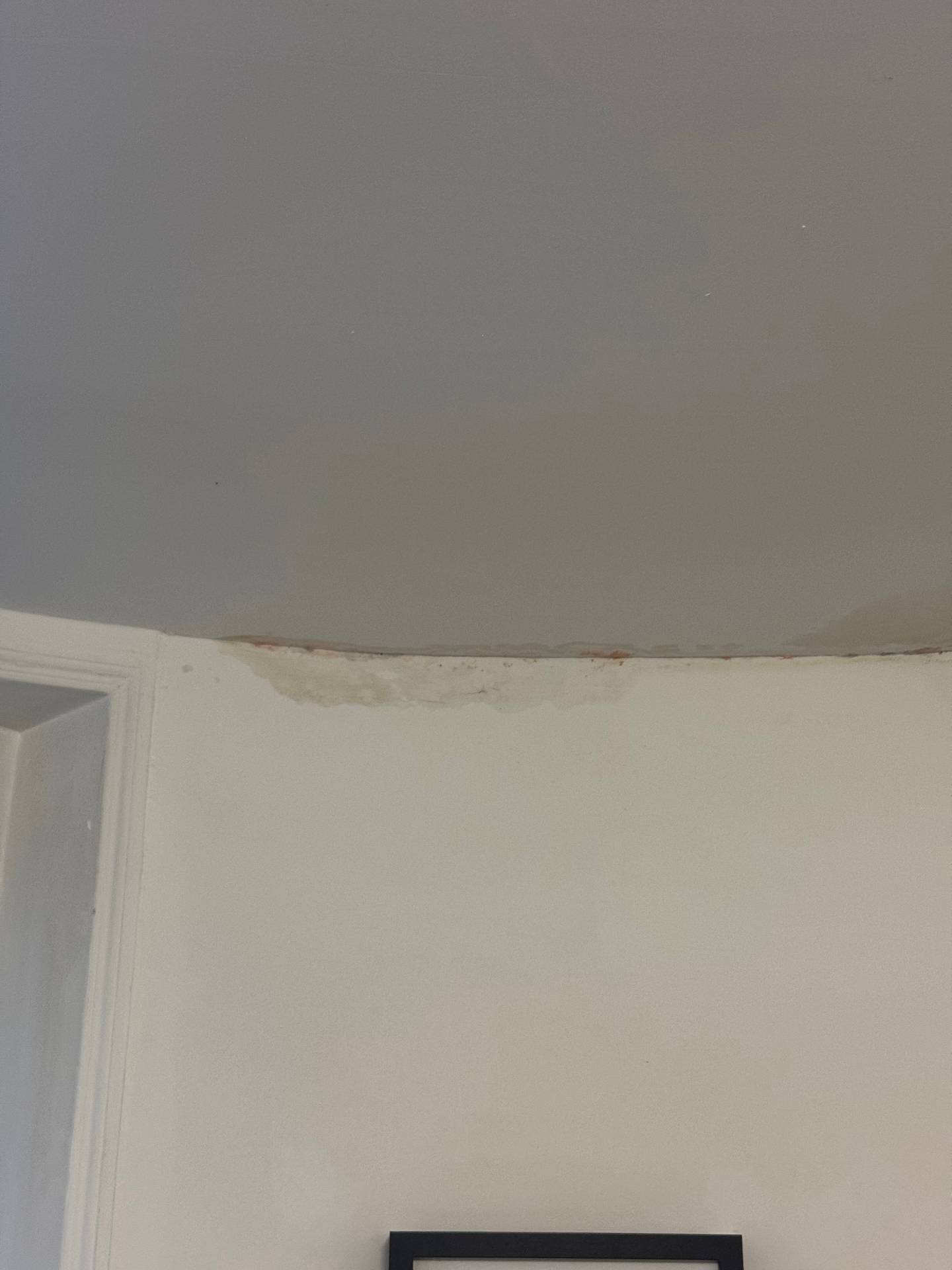 Remise en peinture suite dégât des eaux 