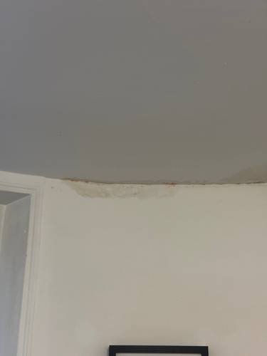 Remise en peinture suite dégât des eaux 