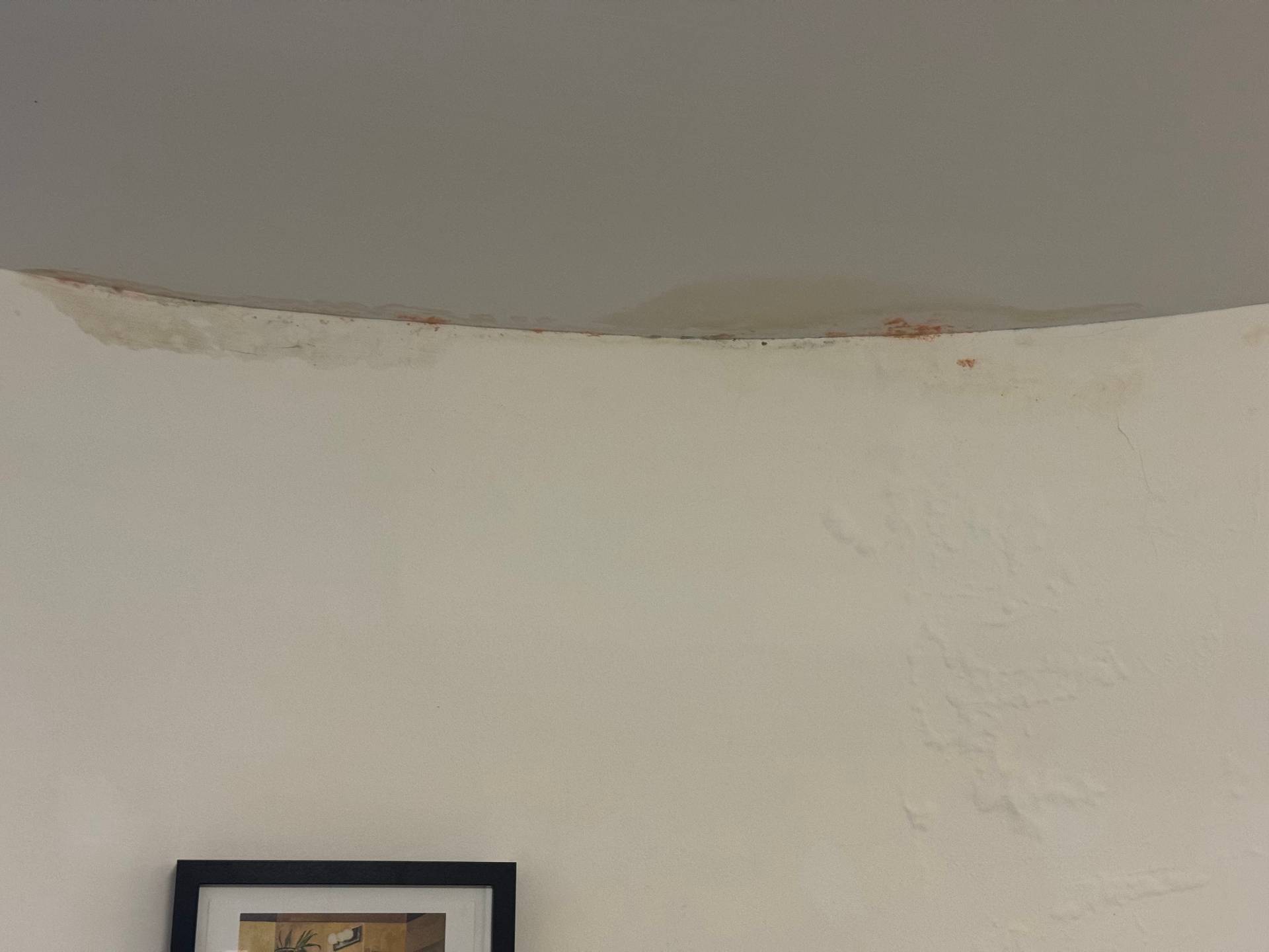 Remise en peinture suite dégât des eaux 