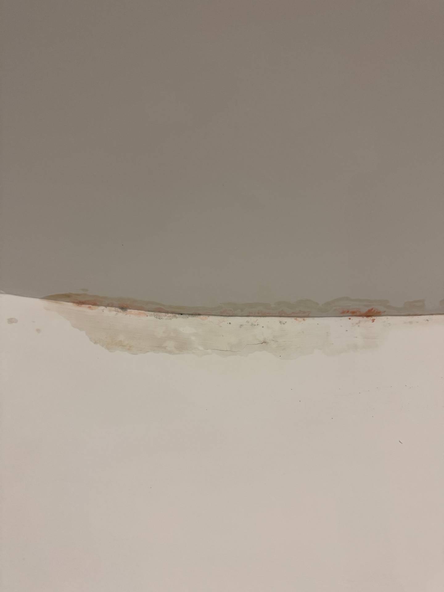 Remise en peinture suite dégât des eaux 