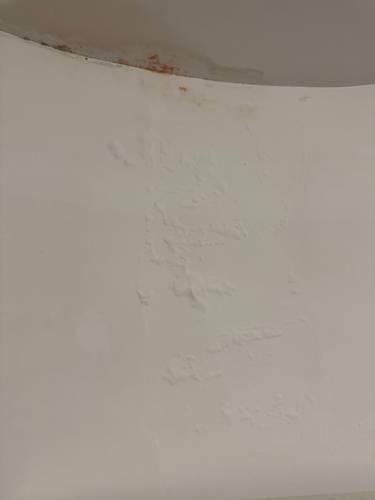 Remise en peinture suite dégât des eaux 