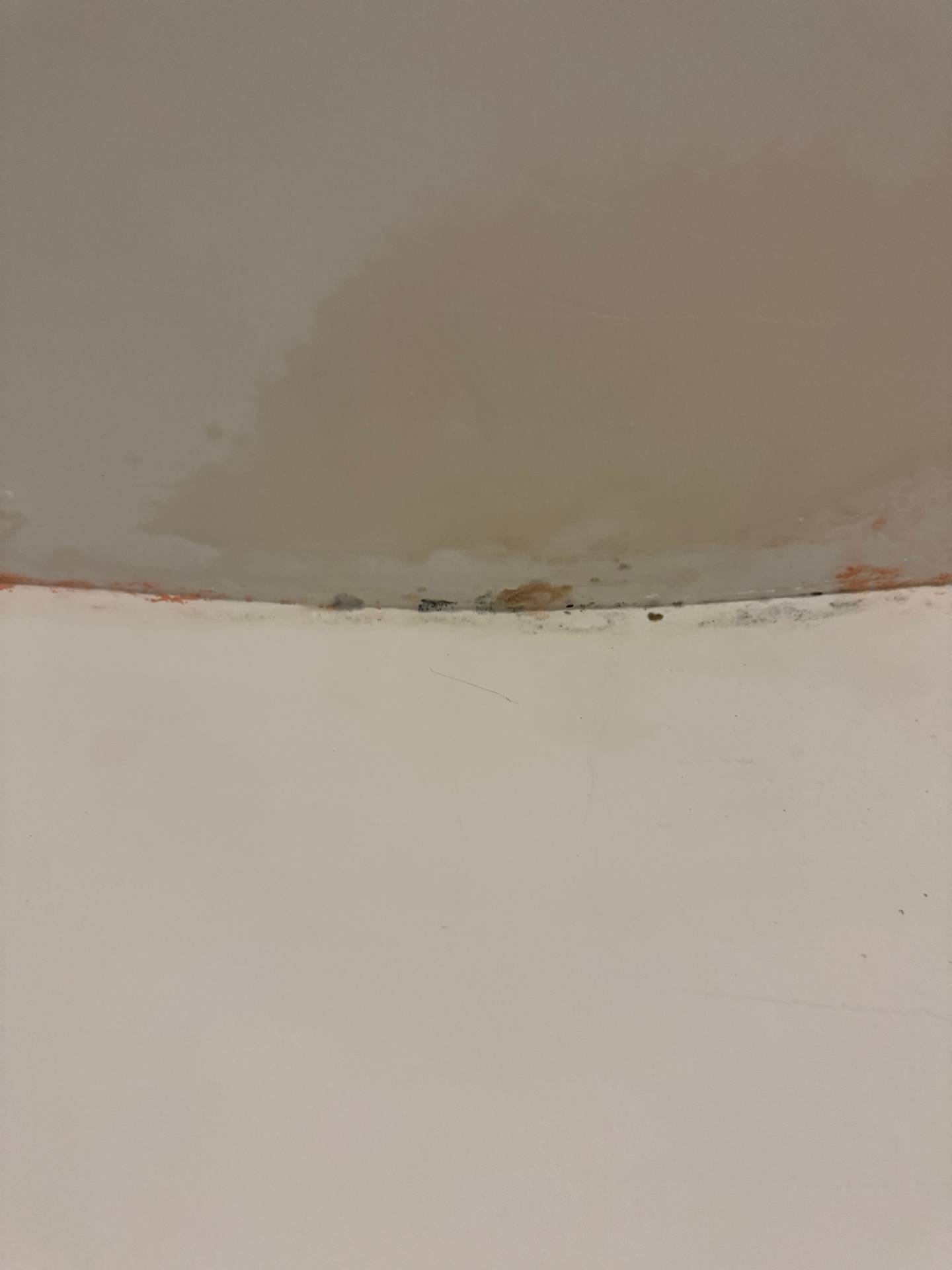 Remise en peinture suite dégât des eaux 