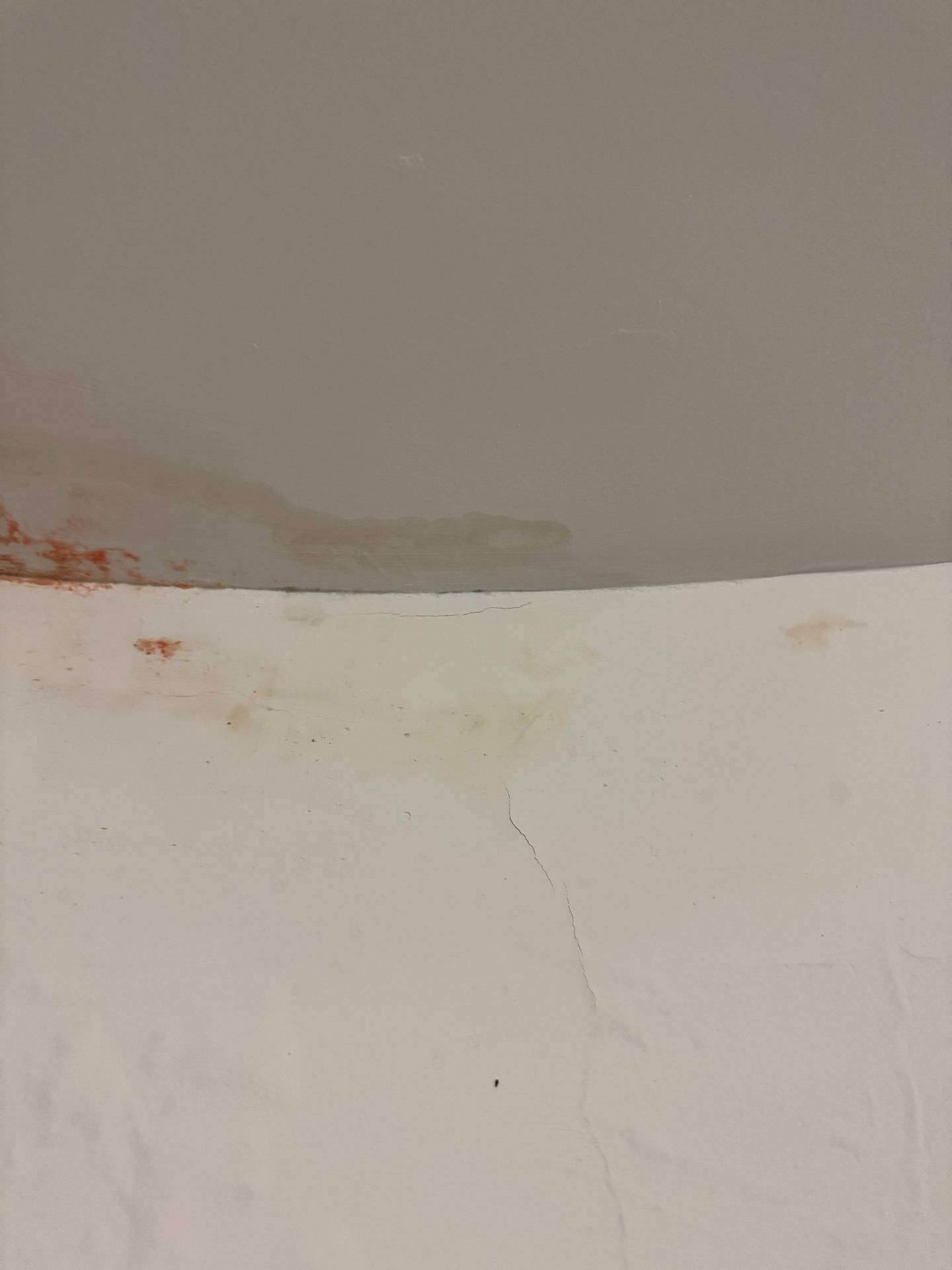 Remise en peinture suite dégât des eaux 