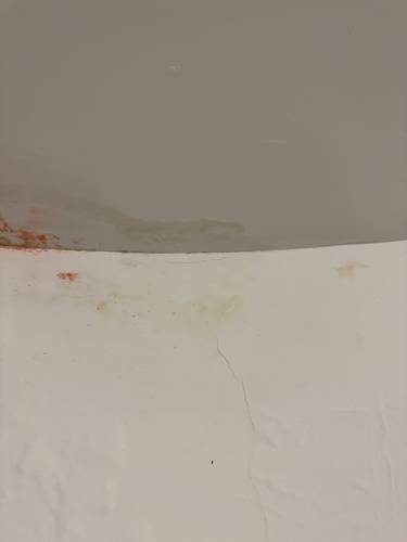 Remise en peinture suite dégât des eaux 