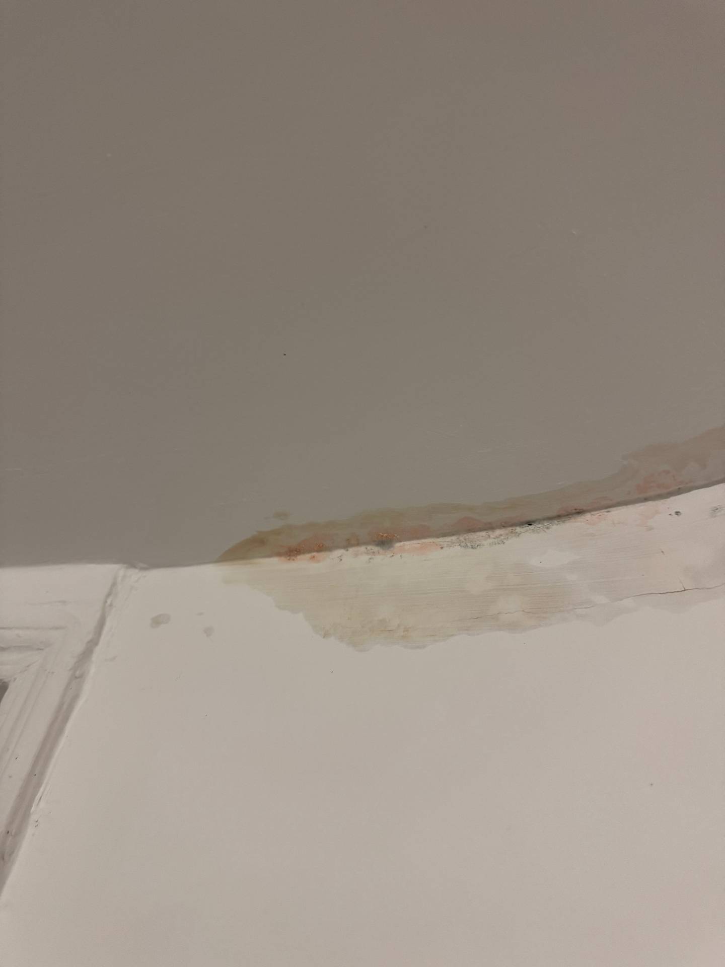 Remise en peinture suite dégât des eaux 