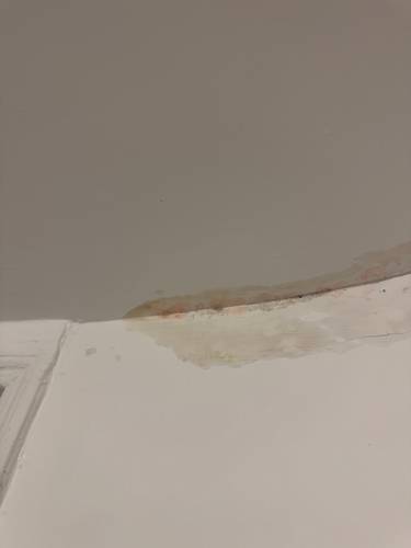 Remise en peinture suite dégât des eaux 